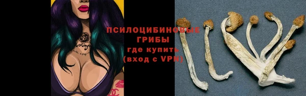 ALPHA-PVP Елабуга