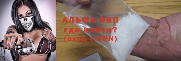 гашик Елизово