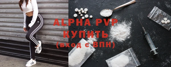 гашик Елизово