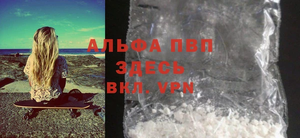 гашик Елизово