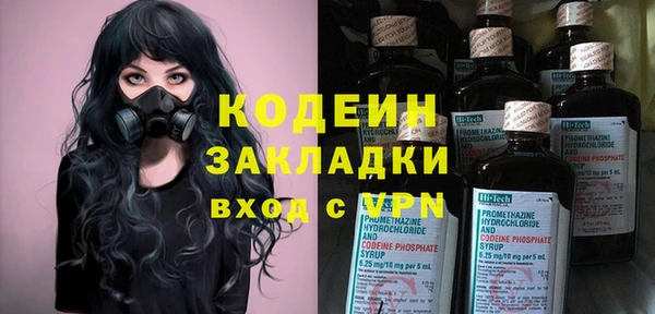 гашик Елизово