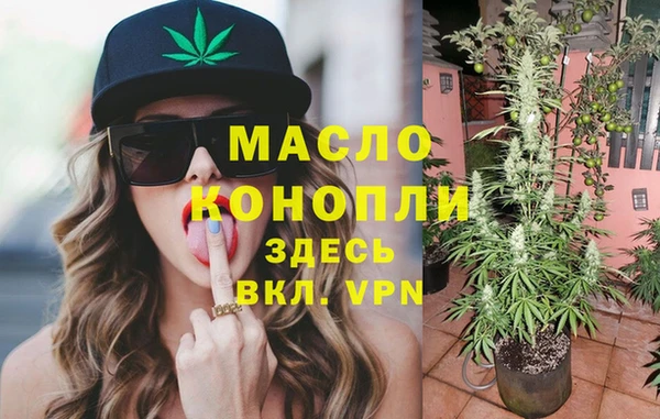 гашик Елизово