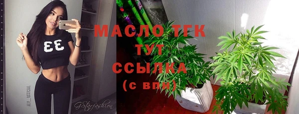 гашик Елизово